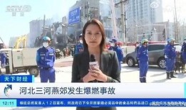 采访爆料人视频大全集,视频大全集背后的真实故事