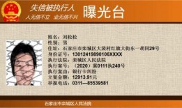 石家庄礼仪爆料案件最新,揭秘背后惊人真相